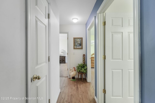 entryway featuring light wood-style flooring