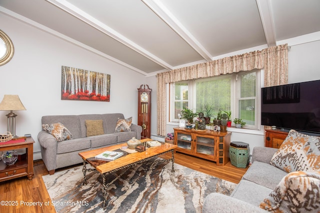 210 Willow Dr, Jefferson Twp, PA 18436 - living room with a baseboard heating unit and wood finished floors