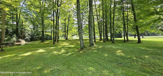 2534 Sr 29 S, Monroe Twp, PA 18657 - photo 7