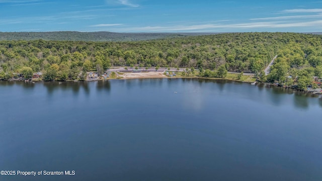 35 Cedar Dr, Covington Twp, PA 18424