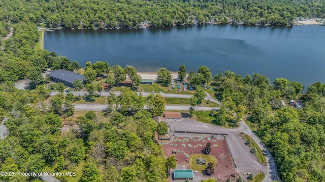 35 Cedar Dr, Covington Twp, PA 18424