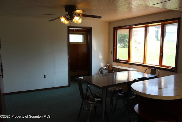 1010 Mcalpine St, Avoca, PA 18641 - photo 9