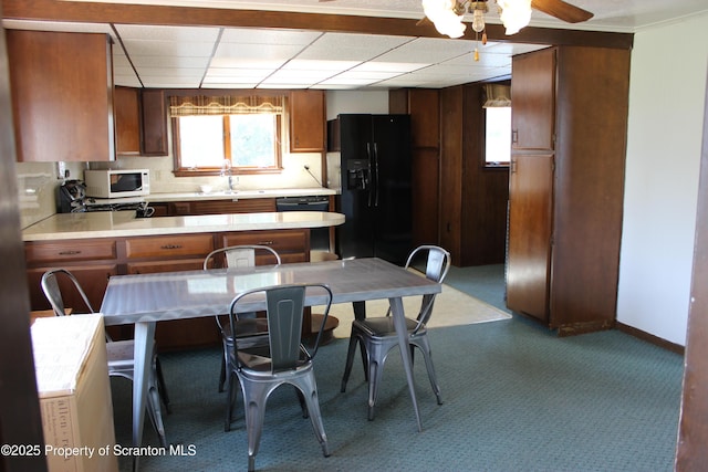 1010 Mcalpine St, Avoca, PA 18641 - photo 10