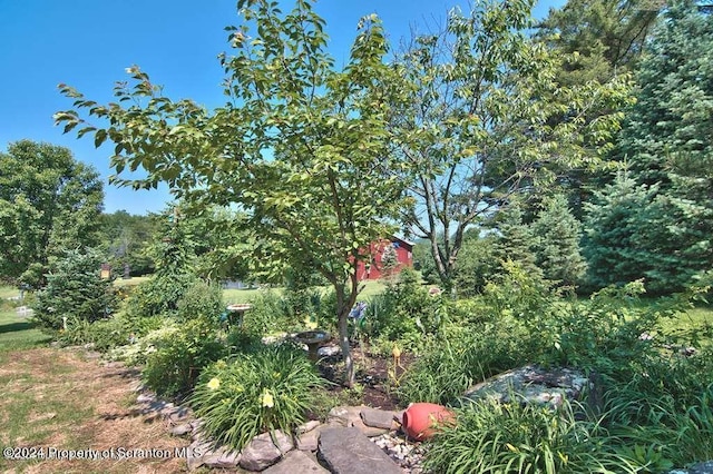 20429 State Route 171, Susquehanna, PA 18847 - photo 90