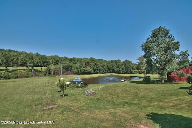 20429 State Route 171, Susquehanna, PA 18847 - photo 80
