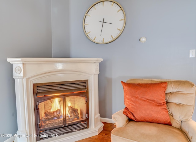 living area featuring a glass covered fireplace, baseboards, and wood finished floors