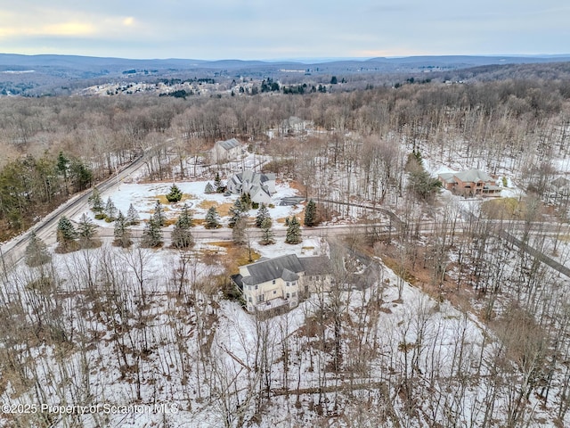 snowy aerial view with a mountain view and a wooded view