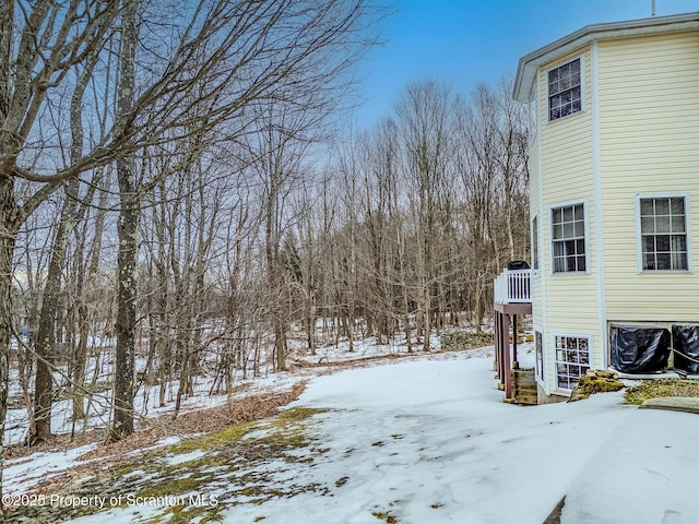 view of yard covered in snow