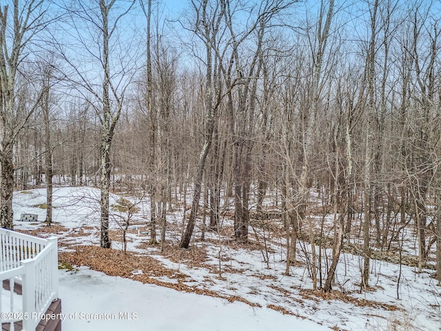 view of yard covered in snow