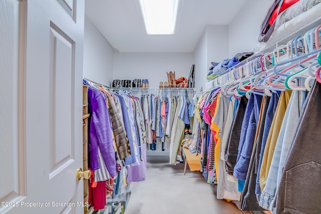 view of walk in closet