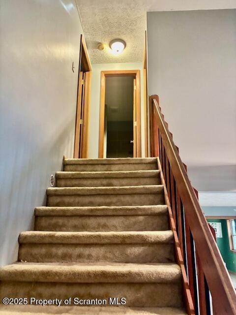 15 Hawthorn Dr, Gouldsboro, PA 18424 - photo 16