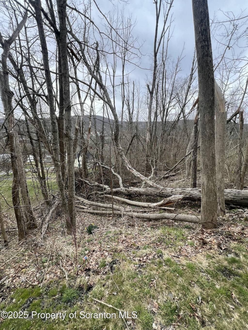 High St, Oakland, PA 18847