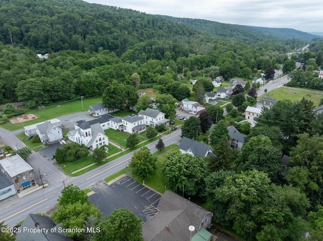989 Main St, New Milford, PA 18834 - aerial view of residential area with a forest