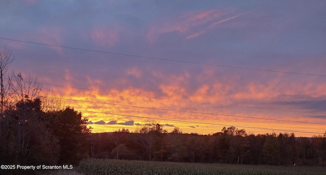 view of nature at dusk