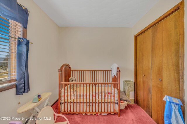 bedroom featuring carpet flooring