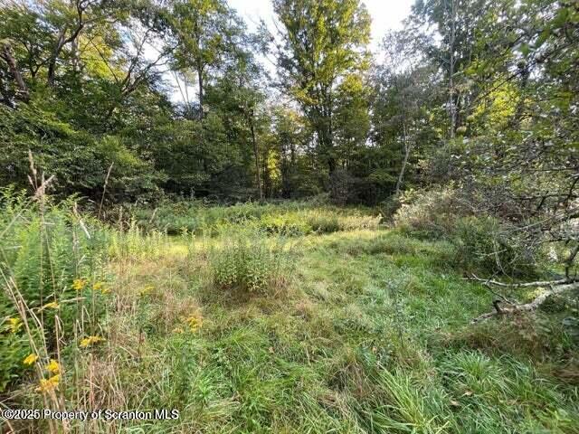 956 Russell Rd, Kingsley, PA 18826