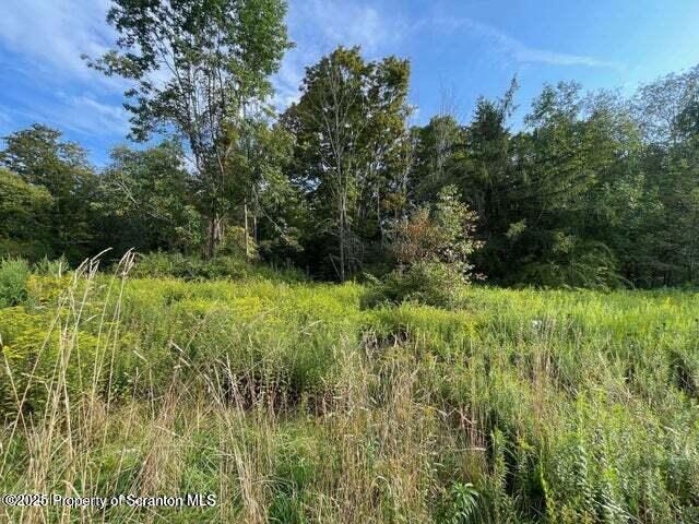 956 Russell Rd, Kingsley, PA 18826