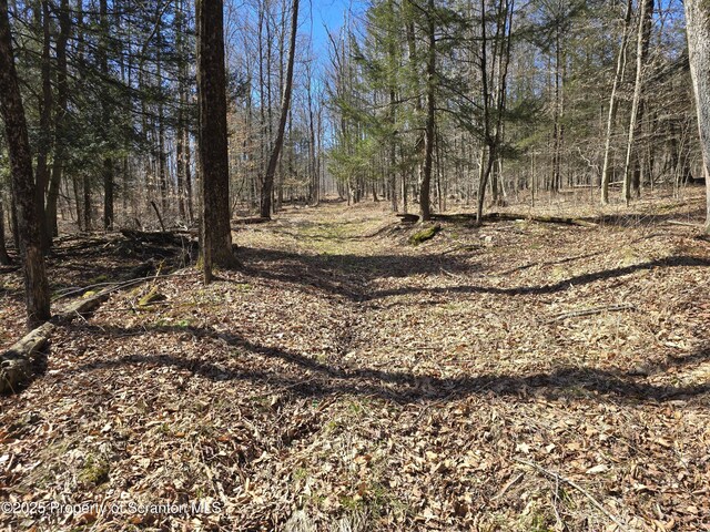 956 Russell Rd, Kingsley, PA 18826