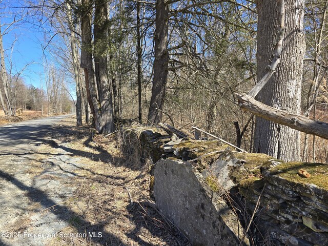 956 Russell Rd, Kingsley, PA 18826