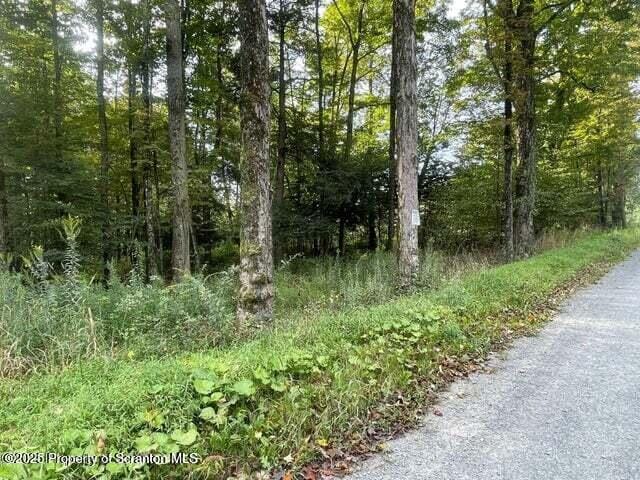 956 Russell Rd, Kingsley, PA 18826