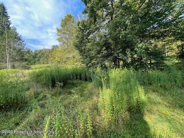 956 Russell Rd, Kingsley, PA 18826