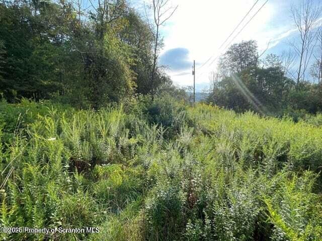 956 Russell Rd, Kingsley, PA 18826