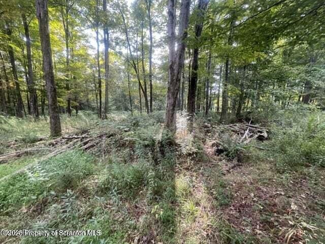 956 Russell Rd, Kingsley, PA 18826