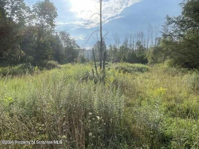 956 Russell Rd, Kingsley, PA 18826