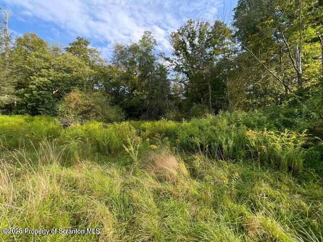 956 Russell Rd, Kingsley, PA 18826