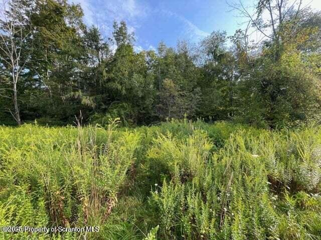 956 Russell Rd, Kingsley, PA 18826