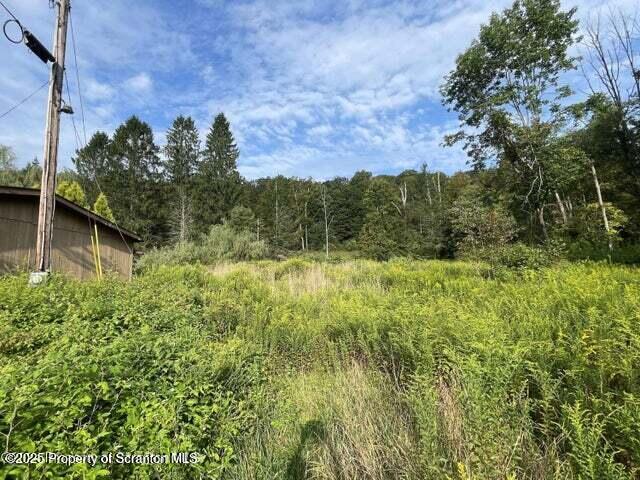 956 Russell Rd, Kingsley, PA 18826