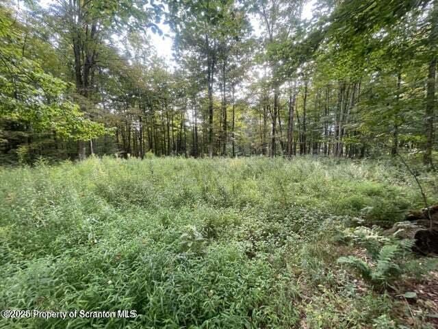 956 Russell Rd, Kingsley, PA 18826