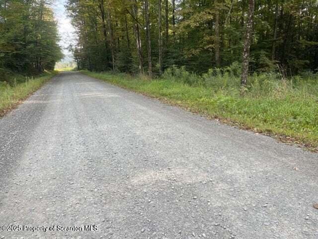 956 Russell Rd, Kingsley, PA 18826