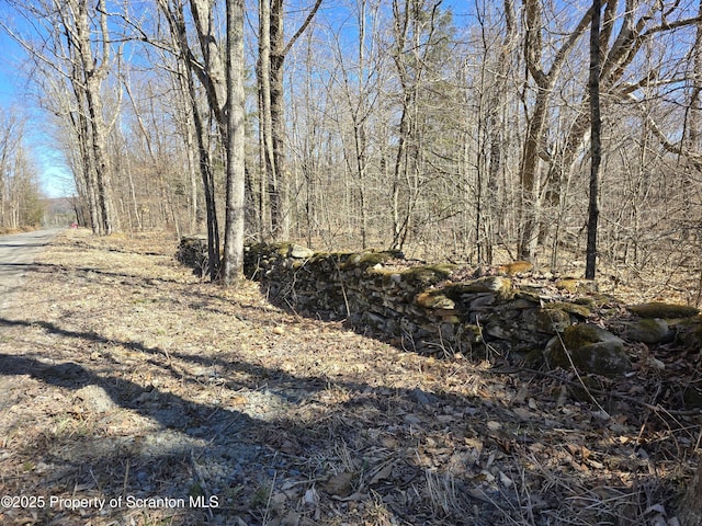 956 Russell Rd, Kingsley, PA 18826