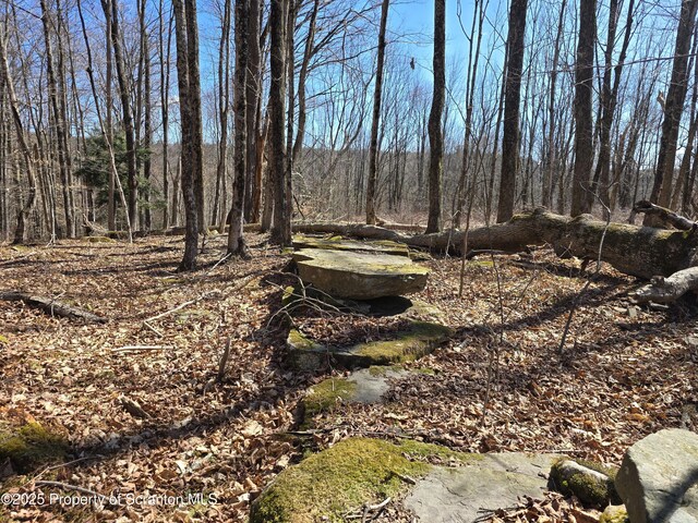 956 Russell Rd, Kingsley, PA 18826
