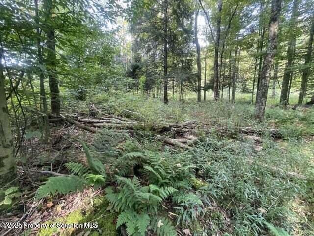 956 Russell Rd, Kingsley, PA 18826