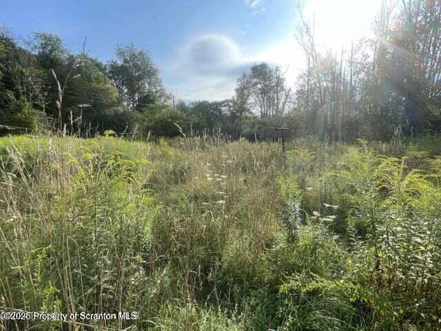 956 Russell Rd, Kingsley, PA 18826