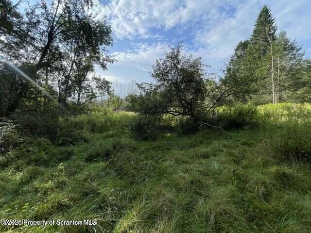 956 Russell Rd, Kingsley, PA 18826