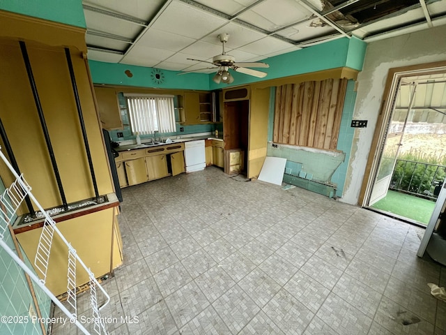 kitchen with a wealth of natural light, light floors, dishwasher, and a ceiling fan