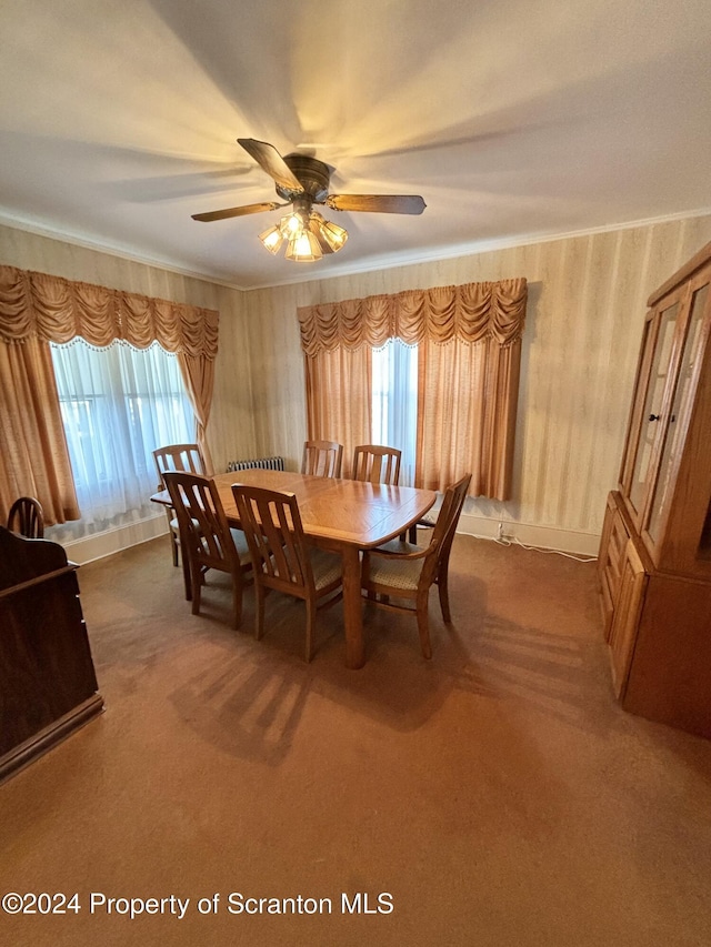 dining room with ceiling fan, a healthy amount of sunlight, carpet floors, and ornamental molding