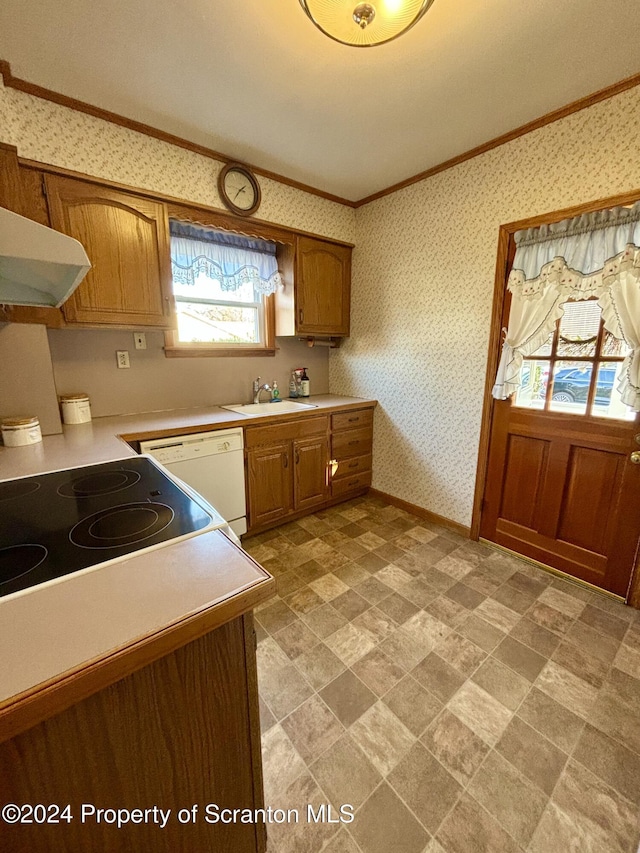 kitchen with a healthy amount of sunlight, white dishwasher, crown molding, and sink