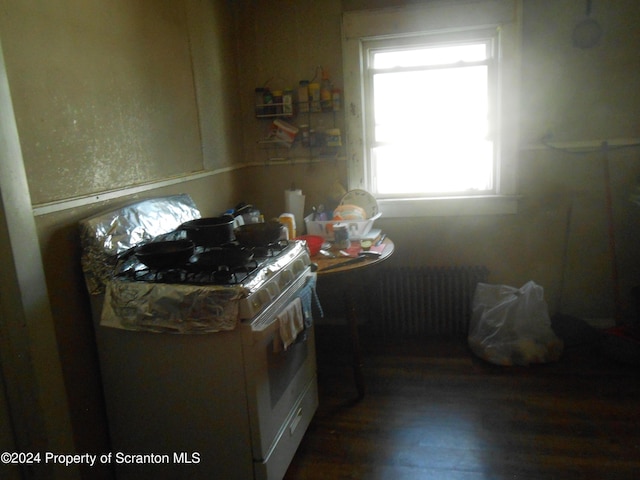 interior space with dark hardwood / wood-style floors, radiator, white range with gas stovetop, and a wealth of natural light