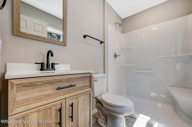 bathroom with a shower, vanity, and toilet