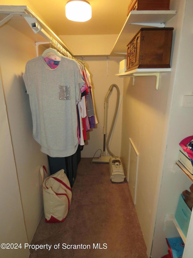 509 Maple St, Old Forge, PA 18518 - photo 24