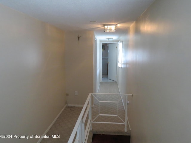 509 Maple St, Old Forge, PA 18518 - photo 37