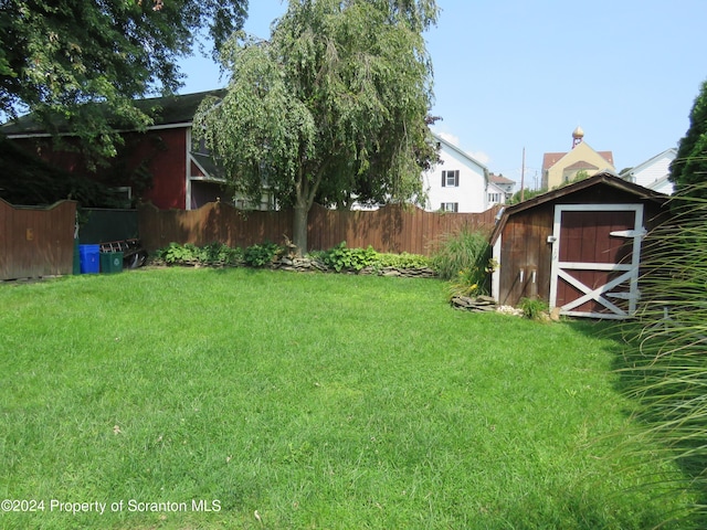 view of yard with a storage shed