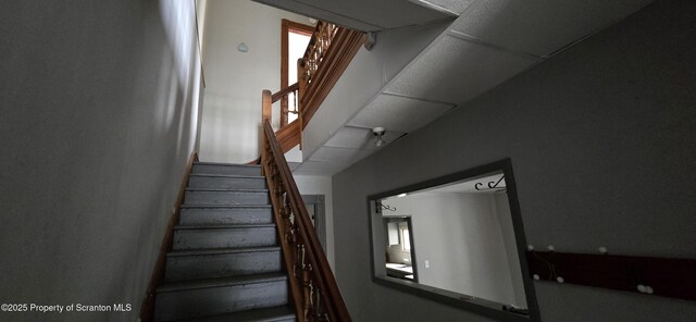 1140-1142 Academy St, Scranton, PA 18504 - photo 23