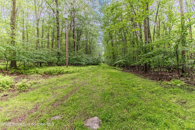 15 Queens Dr Unit L 10, Jefferson Twp, PA 18436 - photo 5