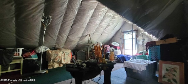 525 N Irving Ave, Scranton, PA 18510 - view of attic