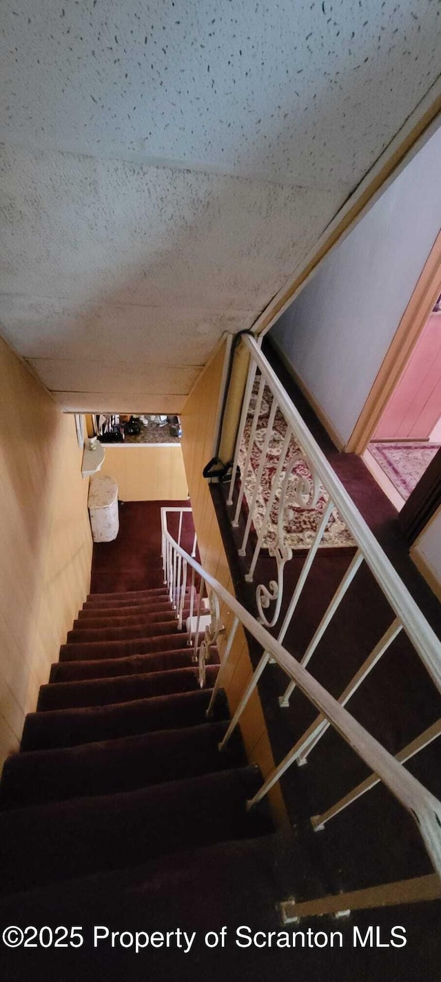 525 N Irving Ave, Scranton, PA 18510 - staircase featuring wooden walls and carpet floors